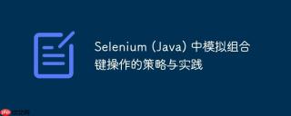 Selenium (Java) 中模拟组合键操作的策略与实践