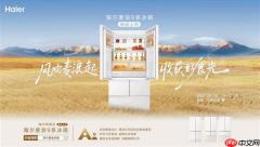 海尔冰箱H1：一个麦浪系列抵一个企业