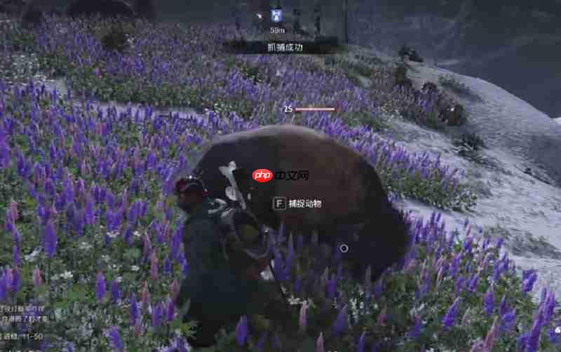 七日世界牛群在哪里刷新 七日牛群分布位置大全