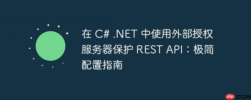 在 C# .NET 中使用外部授权服务器保护 REST API:极简配置指南