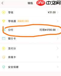 如何开通微信分付借款