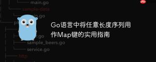 Go语言中将任意长度序列用作Map键的实用指南