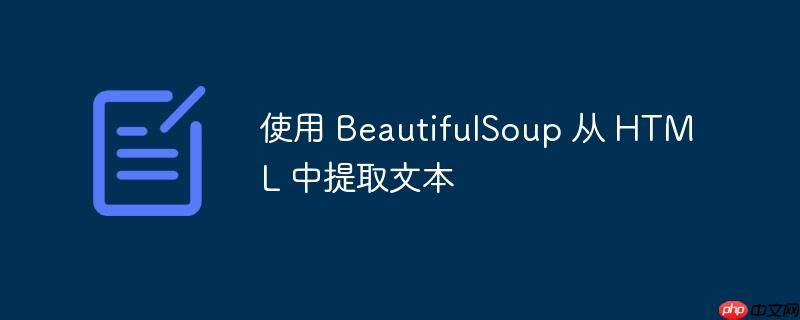 使用 BeautifulSoup 从 HTML 中提取文本