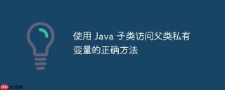 使用 Java 子类访问父类私有变量的正确方法