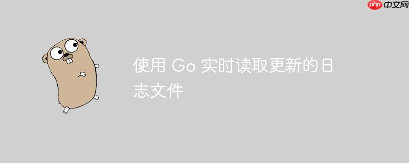 go 开发api 使用go开发app
