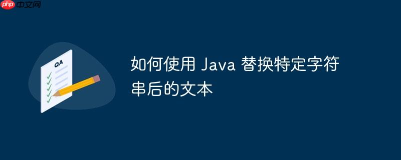 如何使用 java 替换特定字符串后的文本