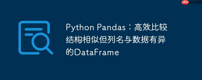 python pandas：高效比较结构相似但列名与数据有异的dataframe
