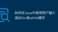 How to exit a for or while loop using user input in Java