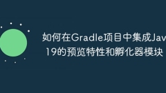How to integrate Java 19's preview features and incubator modules in Gradle projects