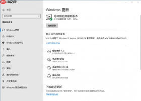 Win10 1903出现“下载和安装”更新选项