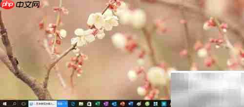 ie浏览器加载项设置方法