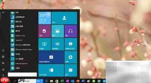 IE浏览器加载项设置方法