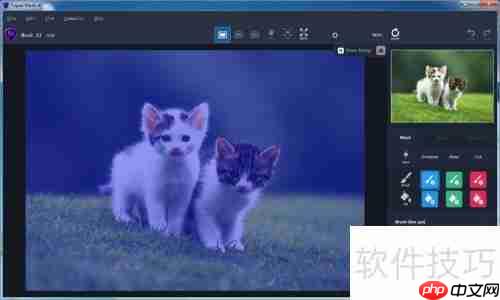 Topaz Mask AI使用指南