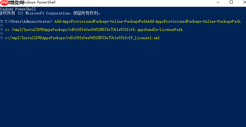 w10怎么安装DVD播放器