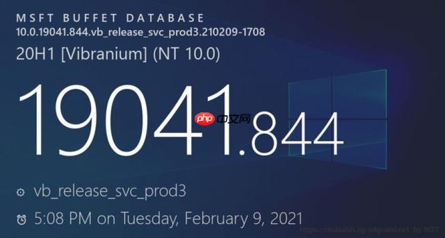 Win10 20H1/20H2获可选更新：修复IE内存泄漏等问题