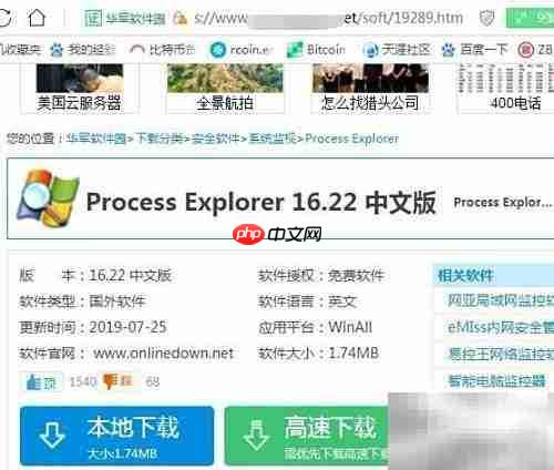 Process Explorer下载方法