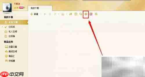 迅雷视频嗅探使用教程