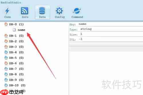 Redis Studio使用入门