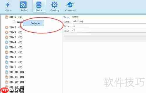 Redis Studio使用入门