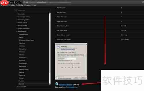ZommIt下载及使用指南