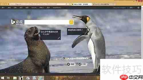 必应缤纷桌面使用指南