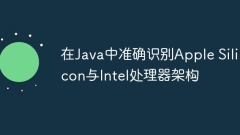Accurately identify Apple Silicon and Intel processor architecture in Java