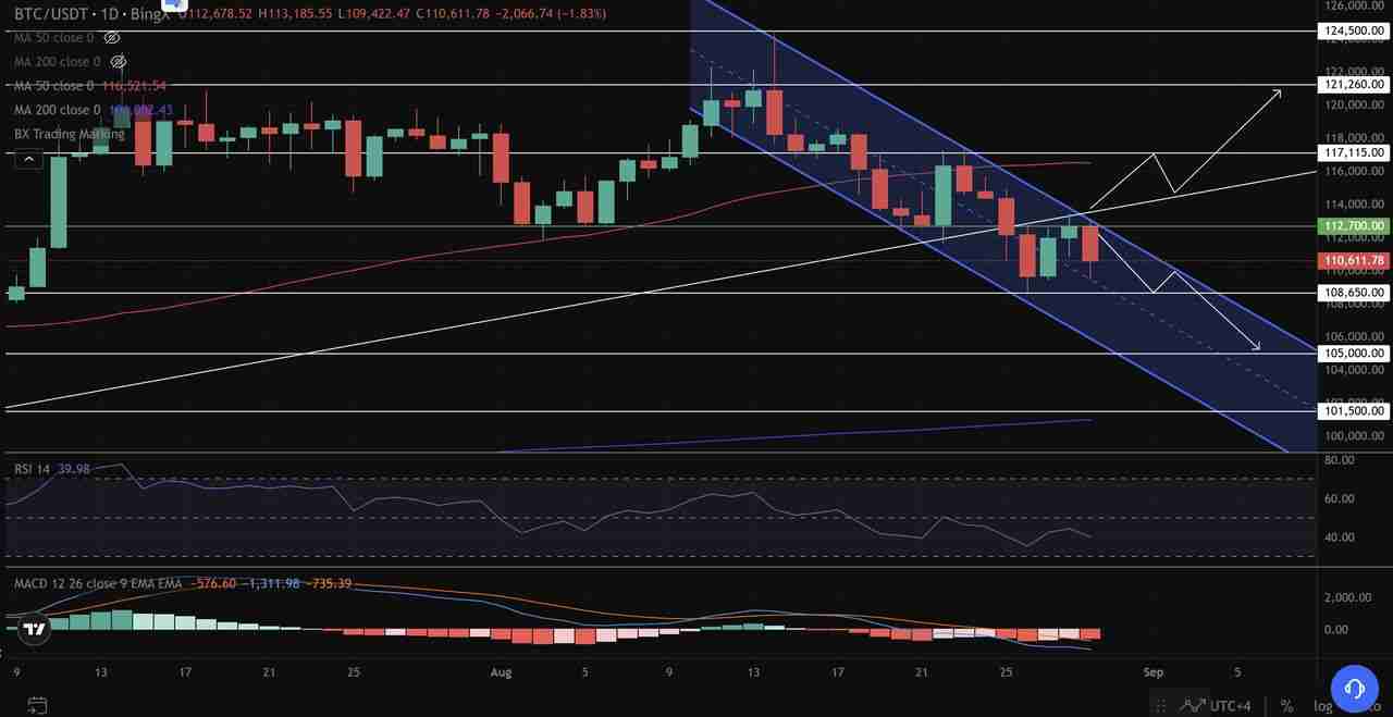 比特币达$11万，核心通膨2.9%：BTC 会突破通道吗？