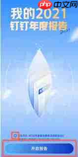 怎样查看钉钉年度报告