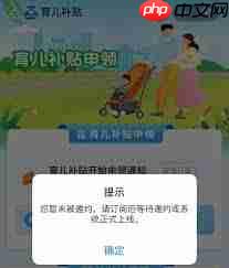 新疆省育儿补贴如何领取