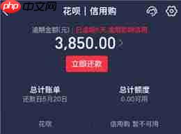支付宝花呗逾期一天会有什么影响