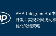 PHP Telegram Bot本地开发:实现公网访问与优化轮询策略