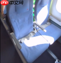 网友拍到千亿总裁魏建军坐经济舱 陈震:可能就没有公务舱