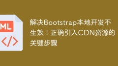 Solving that Bootstrap local development does not take effect: Key steps to correctly introduce CDN resources