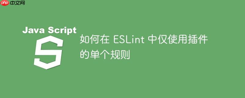 如何在 ESLint 中仅使用插件的单个规则