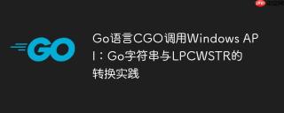 Go语言CGO调用Windows API：Go字符串与LPCWSTR的转换实践