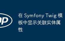在 Symfony Twig 模板中显示关联实体属性