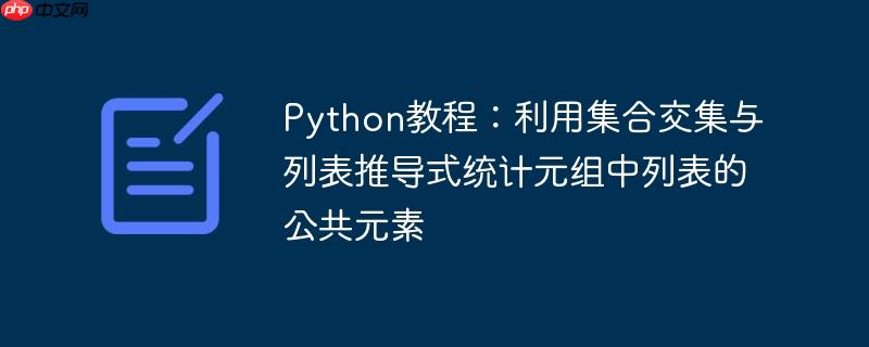 Python教程:利用集合交集与列表推导式统计元组中列表的公共元素