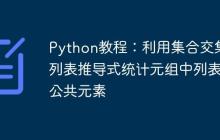 Python教程:利用集合交集与列表推导式统计元组中列表的公共元素