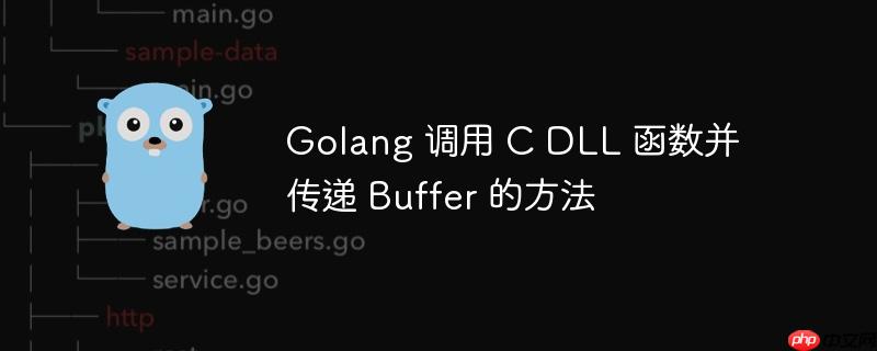 golang 调用 c dll 函数并传递 buffer 的方法