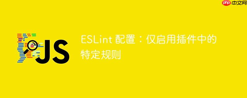 ESLint 配置：仅启用插件中的特定规则
