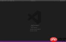 如何在Vscode中打开动画