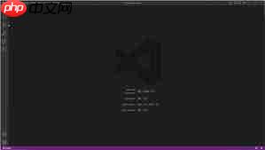 如何在Vscode中打开动画