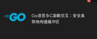 Go语言与C函数交互：安全高效地传递缓冲区