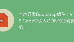 Local development of Bootstrap components: the correct posture for introducing CDN in VS Code