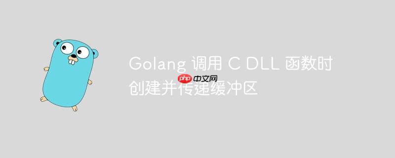 golang 调用 c dll 函数时创建并传递缓冲区