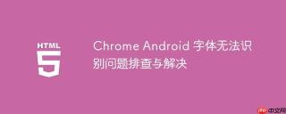 Chrome Android 字体无法识别问题排查与解决
