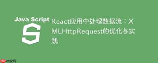 React应用中处理数据流：XMLHttpRequest的优化与实践