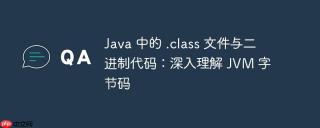 Java 中的 .class 文件与二进制代码：深入理解 JVM 字节码