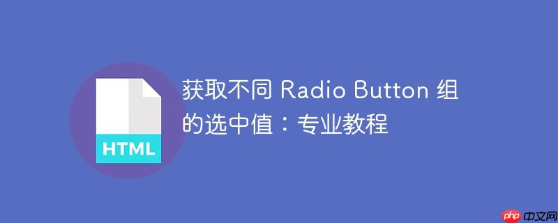 获取不同 radio button 组的选中值：专业教程