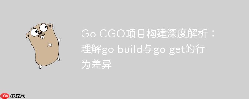 Go CGO项目构建深度解析：理解go build与go get的行为差异 go build -gcflag